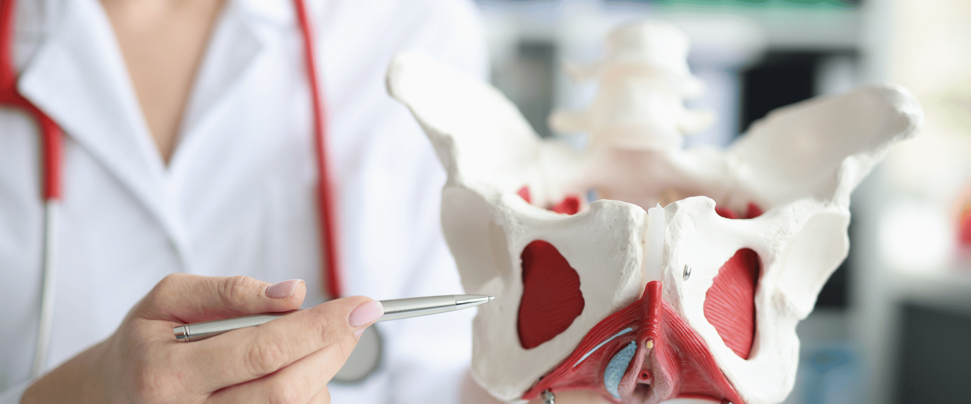 incontinence treatment showing pelvis